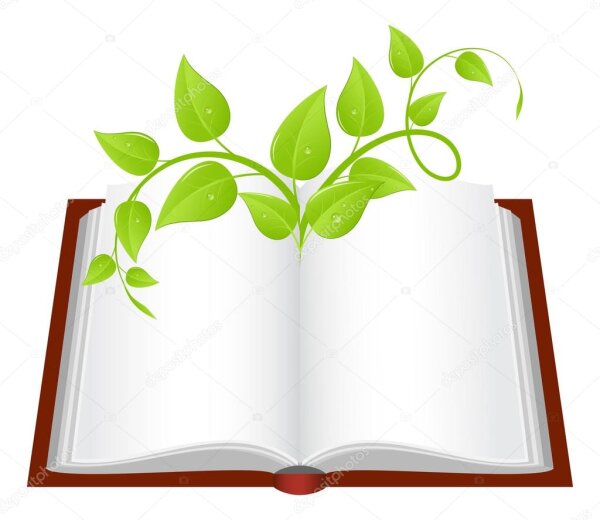 LIETUVIŲ KALBOS IR LITERATŪROS OLIMPIADOS LIETUVOS IR UŽSIENIO LIETUVIŠKŲ MOKYKLŲ SAVIVALDYBĖS...