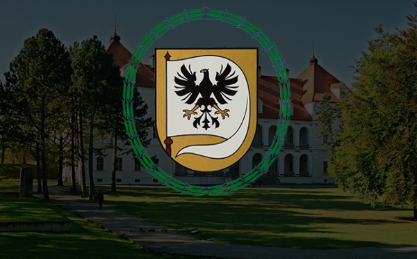 Vaiko teisių gynėjai ir per karantiną vyksta pas šeimas