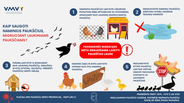 Paukščių migracija jau prasidėjo – naminius paukščius VMVT ragina laikyti dengtuose aptvaruose